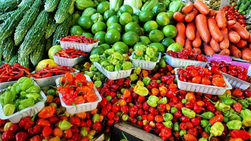 epicerie-LA BASTIDE-min_farmers-market-1329008